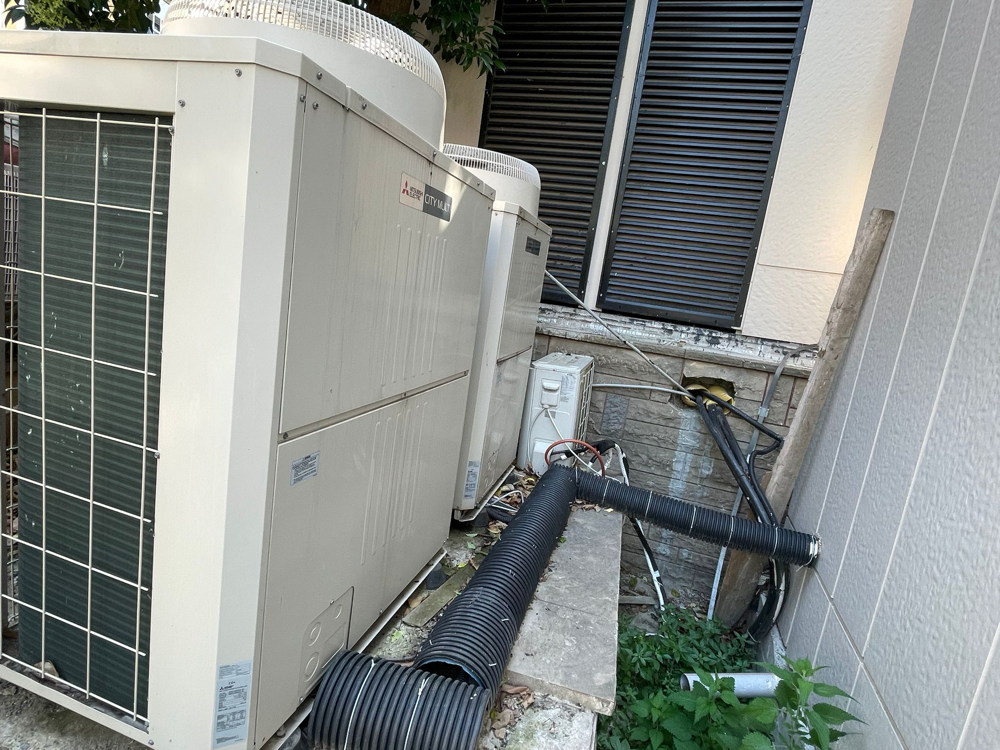 İSTANBUL TIP FAKÜLTESİ ( ÇAPA 