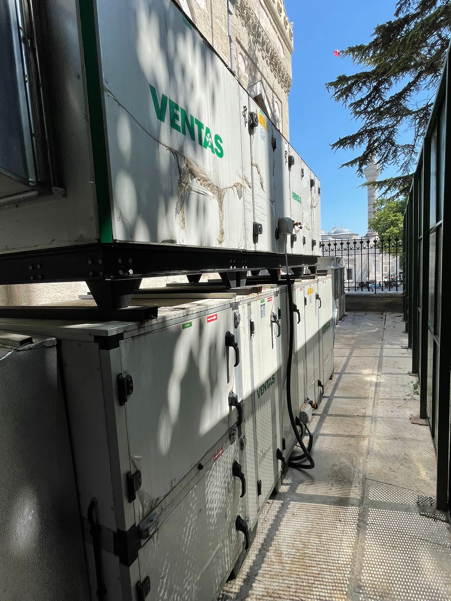 İSTANBUL ÜNİVERSİTESİ PROFESÖR