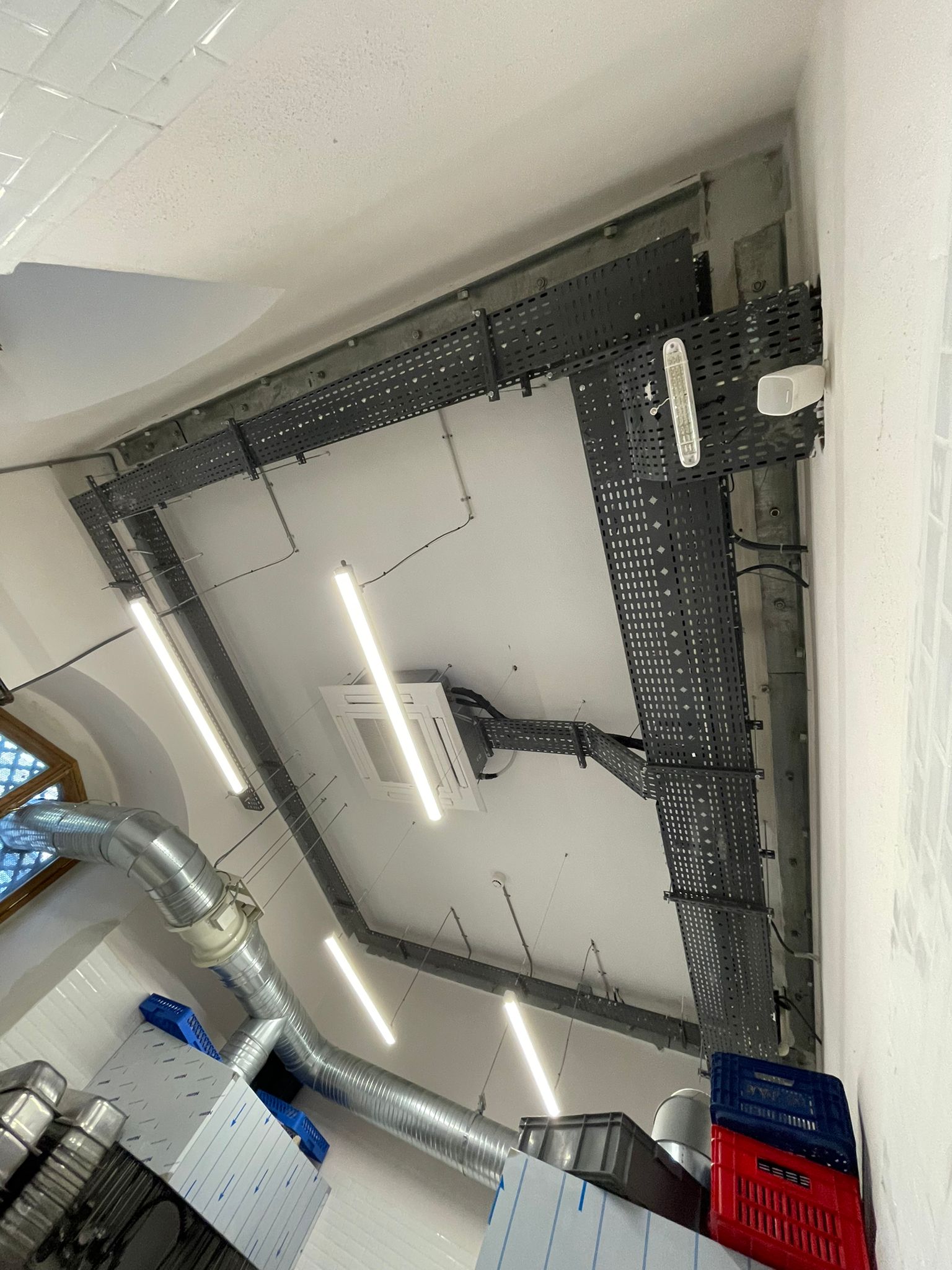 İSTANBUL ÜNİVERSİTESİ PROFESÖR